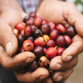 osito--home--hero-small-square